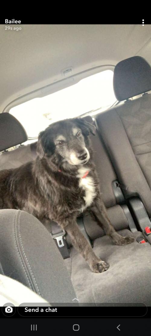 Screenshot_20210410-094412_Snapchat