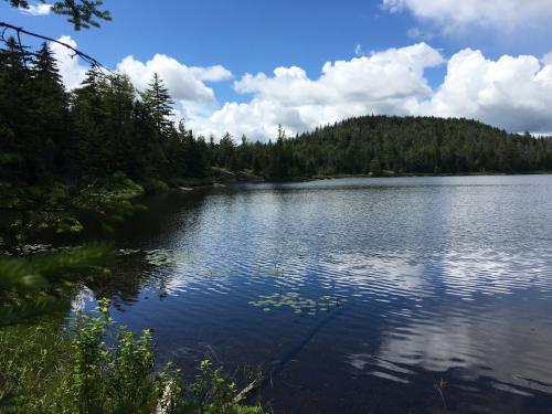 7233B35A-046D-48E6-9BD7-09D4D9D32D79