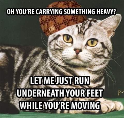 23:09:25 GMT-0700 (PDT)