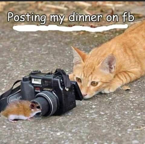 14:15:22 GMT-0700 (PDT)