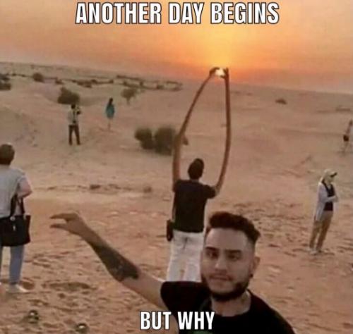 tumblr_8e556fb727c699e57606cfc27708dc7d_996a7ab7_540