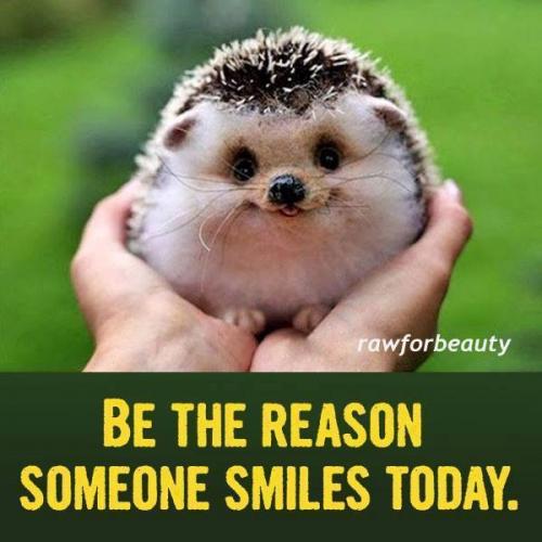 13:01:24 GMT-0400 (EDT)