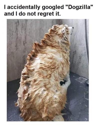 12:56:25 GMT-0500 (CDT)