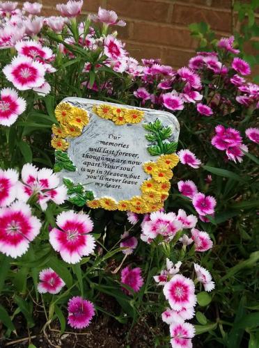 FB_IMG_1620512245834