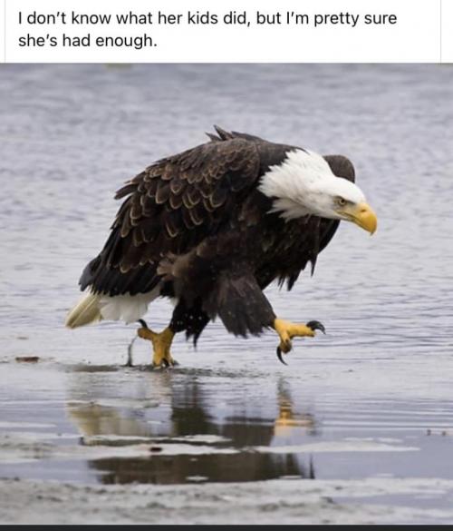 F5CC959B-3D4A-478F-AC51-87C758504914