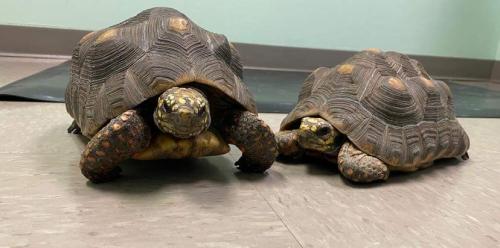 FB_IMG_1620432686067