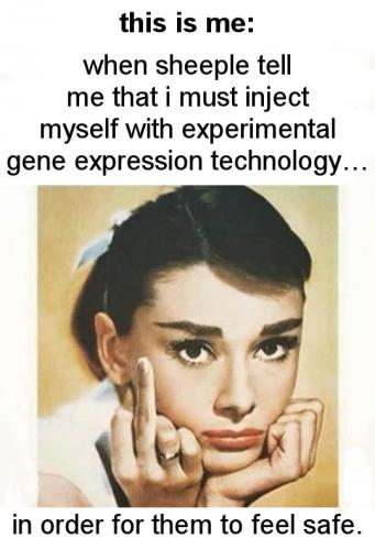 vaccine196