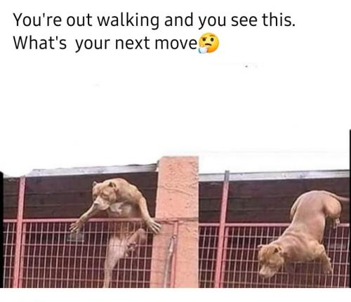 12:27:12 GMT-0400 (EDT)