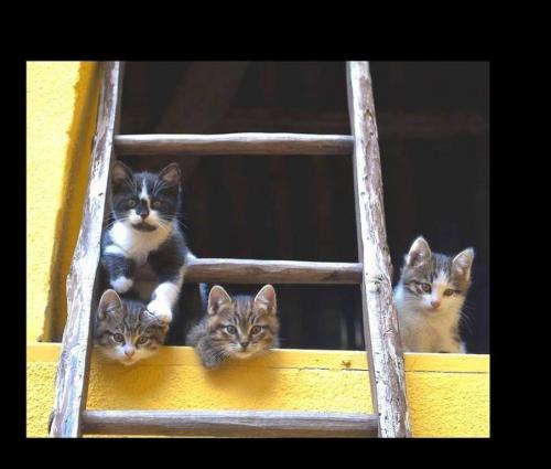 08:43:35 GMT-0500 (CDT)