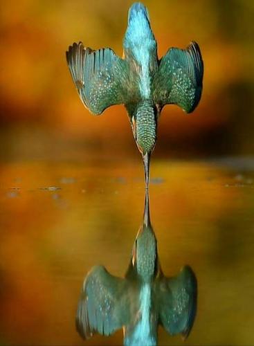 14:52:49 GMT-0700 (PDT)