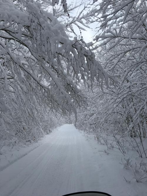 1950259D-0975-49B3-8484-B13B86C253AD