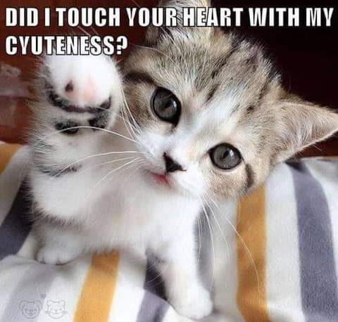 20:15:55 GMT-0700 (PDT)