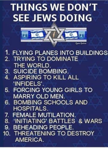 Things we don't see jews doing