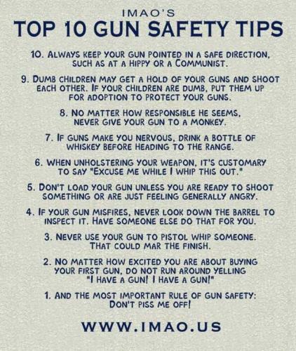 Gun Rules