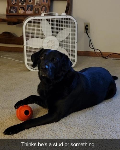 IMG_20210504_223139_556