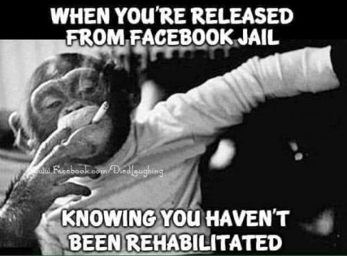 releasedfromjail