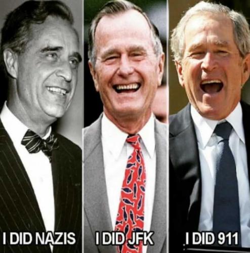 bushes00