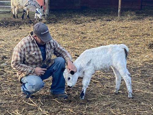 B25BE7DF-1481-489A-A3A0-974A13A10B58