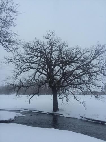 12:36:26 GMT-0500 (CDT)