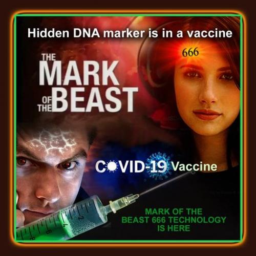 181353706_1881342048707728_4437436665004652940_n