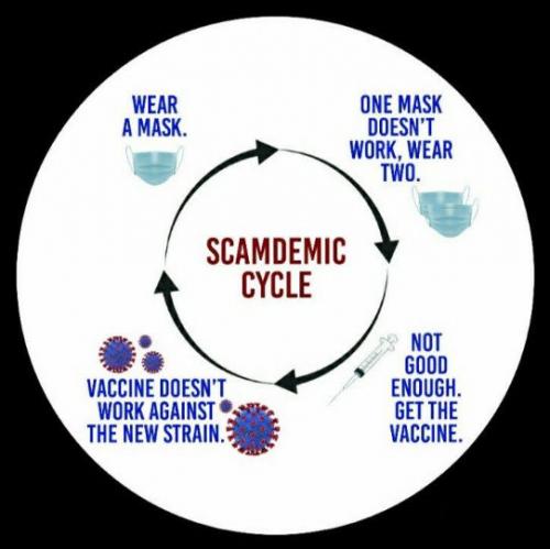 scamdemic02