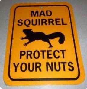 02:20:39 GMT-0700 (PDT).image