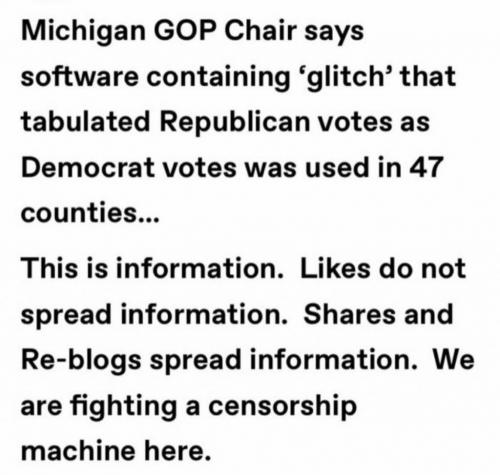 mich election fraud