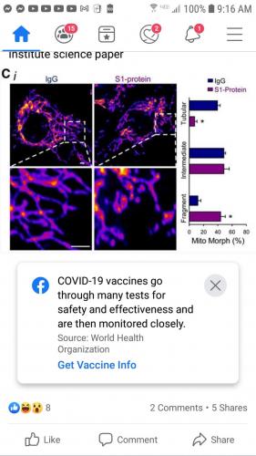 09:17:44 GMT-0500 (CDT)