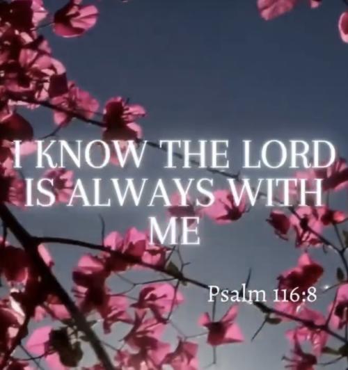 20:02:19 GMT-0500 (CDT).image