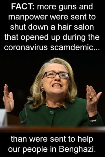 scamdemic10