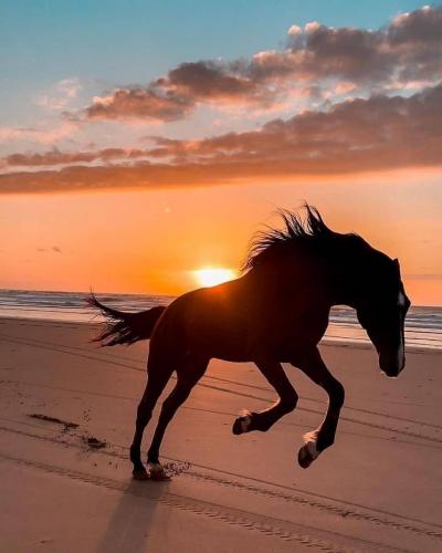 186094551_329922095178137_7878506221893970017_n