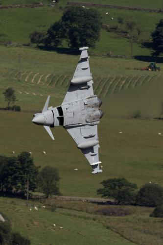 190023465_4049586338460889_7056367041253168094_n