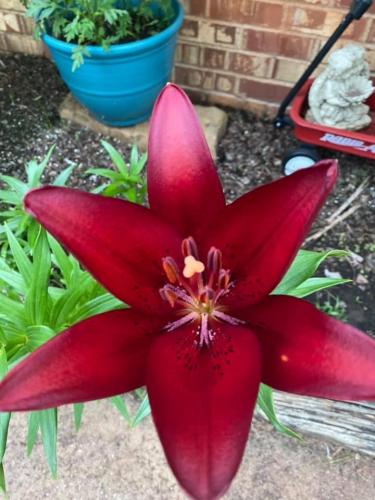 09:43:18 GMT-0500 (CDT).image