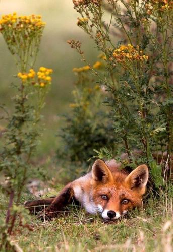 183823169_1569879003211444_9196850561068947140_n