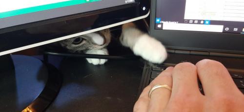 13:14:03 GMT-0400 (EDT)