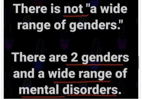 17:09:03 GMT-0500 (CDT).image