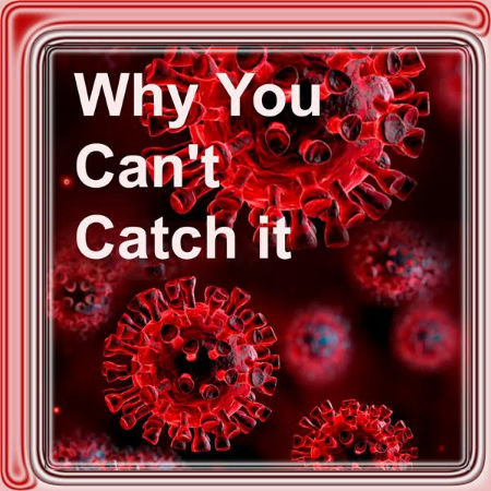 coronavirus1243