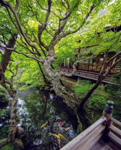 181620554_316229266539749_7722527241511809412_n