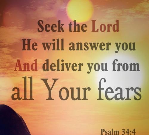 Screenshot_20210514-120628_Photos