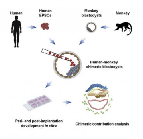 01:08:18 GMT-0500 (CDT)