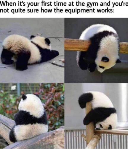 22:59:26 GMT-0700 (PDT).image