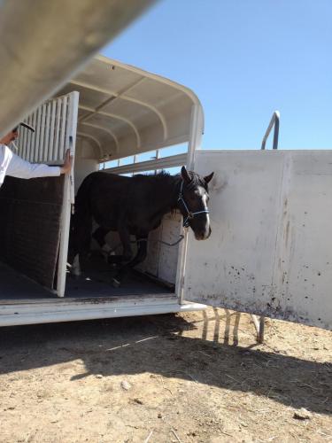 IMG_20210422_132052932