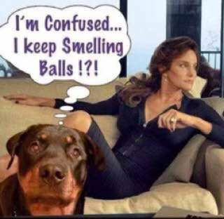 IMG_20210520_203636_243