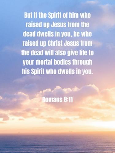 08:44:45 GMT-0400 (EDT)