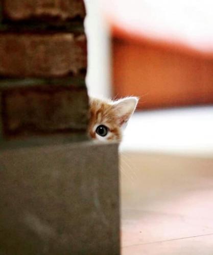 18:01:35 GMT-0500 (CDT)