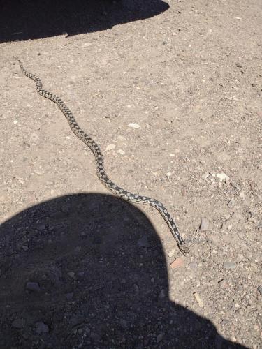 IMG_20210510_105931761