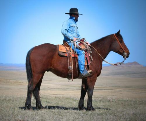 182822581_10159011950325642_544773250490491903_n