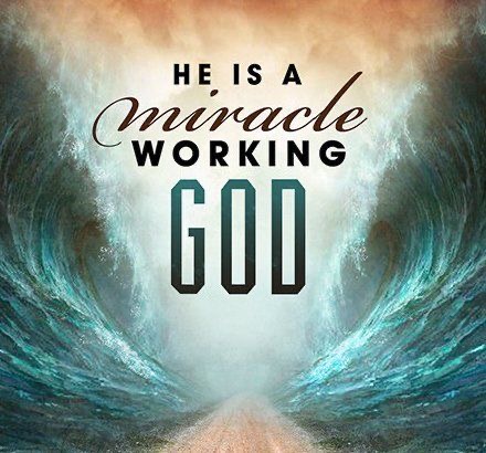 744D4ED2-1DA8-4370-8D71-1D3022492325