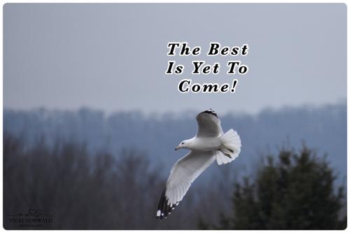 7DFF4D32-4D37-4DE3-82A4-3D2431C517CB