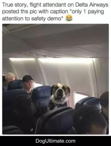 18:27:37 GMT-0400 (EDT)